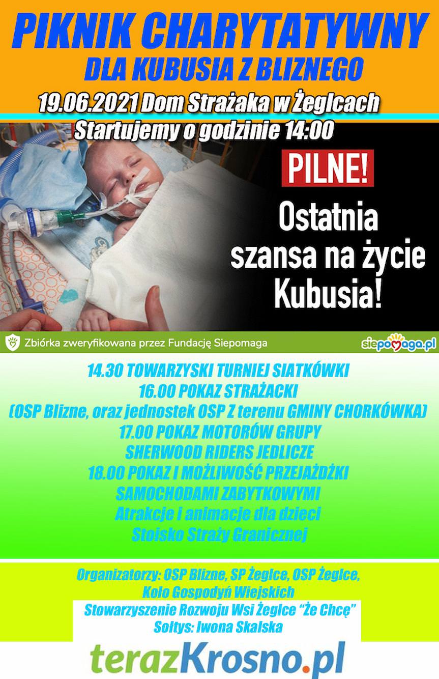 plakat pikniku w Żeglcach