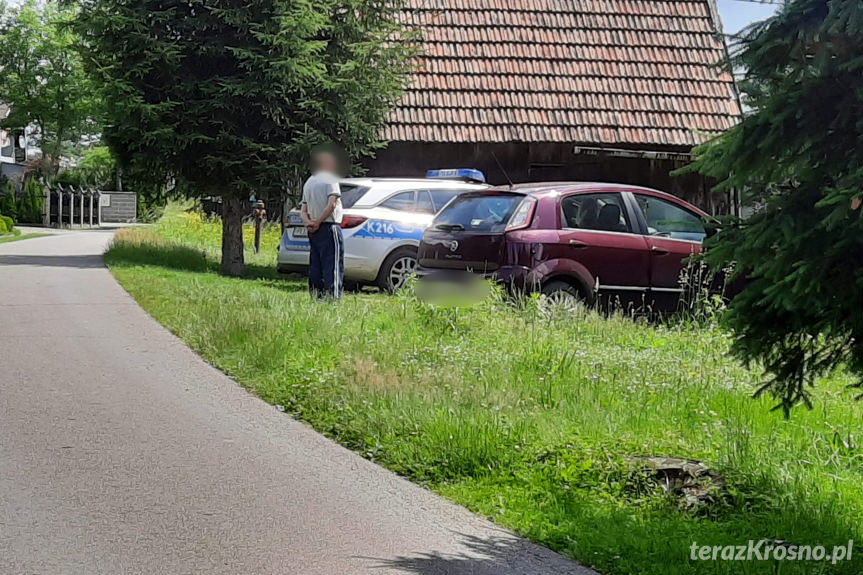 Zaatakował samochód w Świerzowej Polskiej