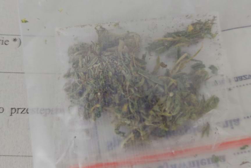 16-latki w tarapatach: marihuana i brak prawa jazdy 16-latki w tarapatach: marihuana i brak prawa jazdy