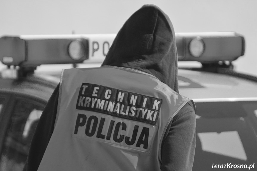 Dwa tragiczne wypadki z udziałem pieszych Dwa tragiczne wypadki z udziałem pieszych