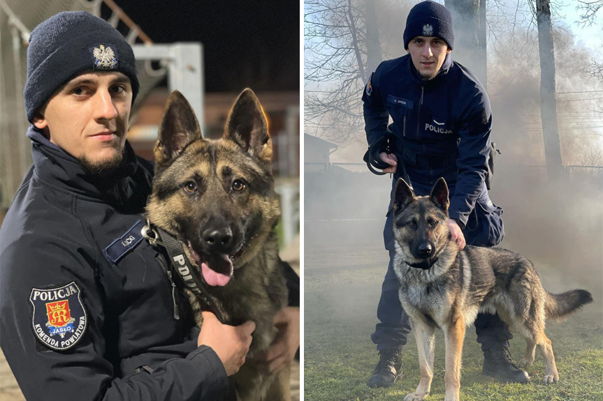 Policja w Jaśle ma nowego funkcjonariusza. To owczarek niemiecki Sadiko Policja w Jaśle ma nowego funkcjonariusza. To owczarek niemiecki Sadiko