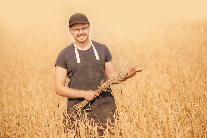 Pomoc dla producentów zbóż i pszczelarzy Pomoc dla producentów zbóż i pszczelarzy