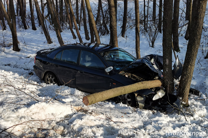 Przybówka. Zjechał z drogi, uderzył w drzewo Przybówka. Zjechał z drogi, uderzył w drzewo