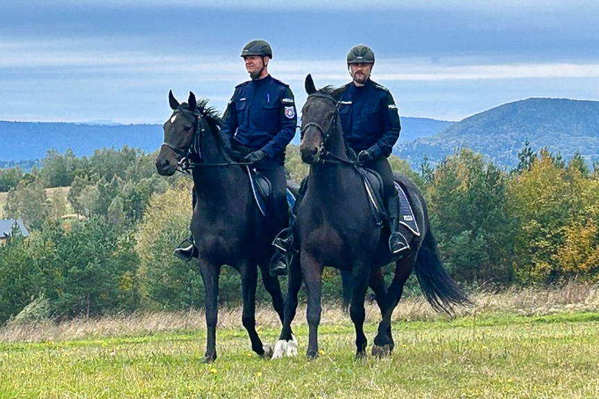 Służby jednoczą siły w obronie leśnych duktów Służby jednoczą siły w obronie leśnych duktów