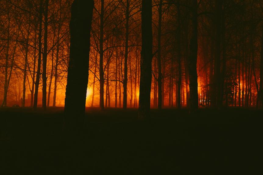 Tragiczny finał poszukiwań Tragiczny finał poszukiwań