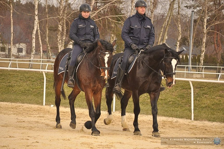 Wag i Bary dołączają do patroli konnych na Podkarpaciu Wag i Bary dołączają do patroli konnych na Podkarpaciu