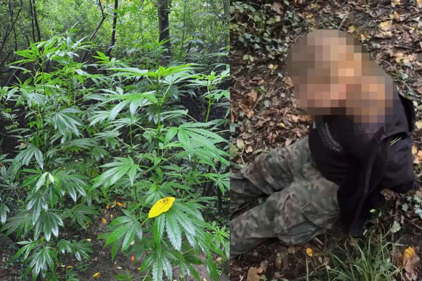 Zatrzymany na gorącym uczynku Zatrzymany na gorącym uczynku