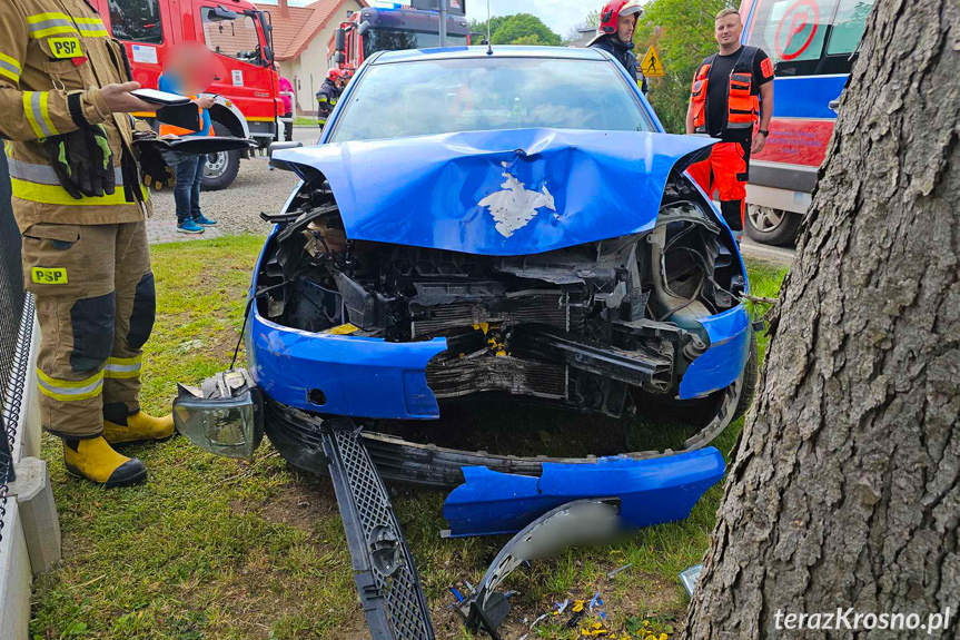 Zjechał z drogi i uderzył w drzewo Zjechał z drogi i uderzył w drzewo
