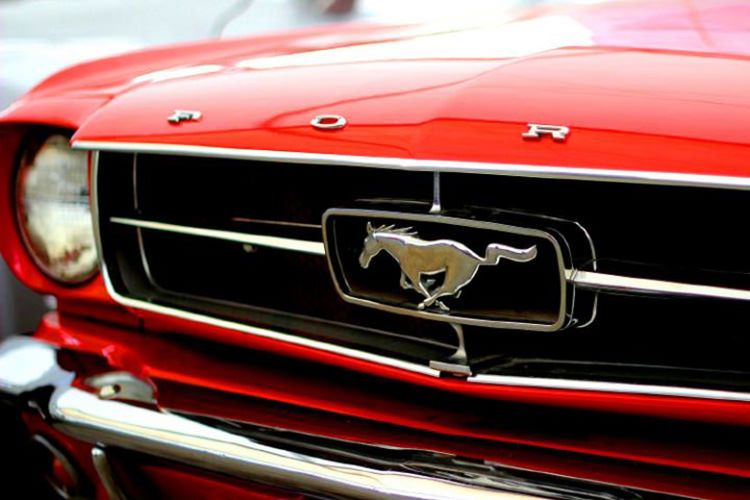 Mustangi wystartują z Bóbrki