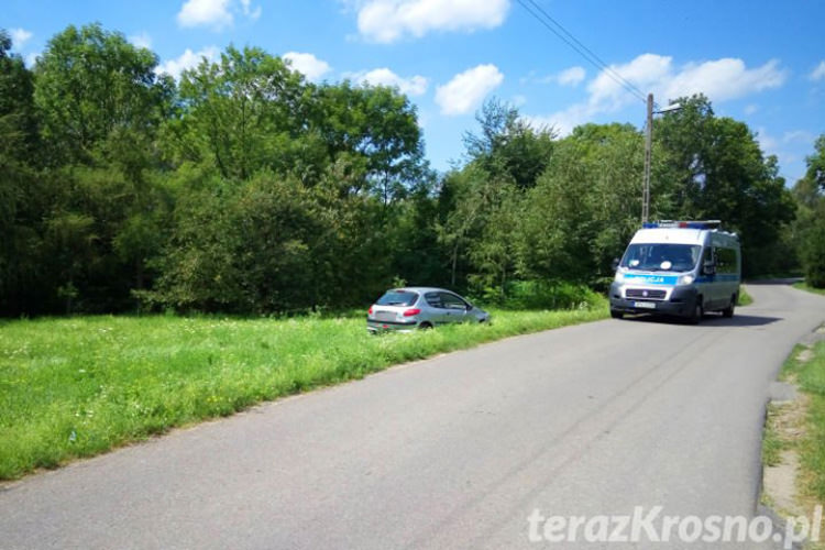 Obywatelskie zatrzymanie w Świerzowej Polskiej Obywatelskie zatrzymanie w Świerzowej Polskiej