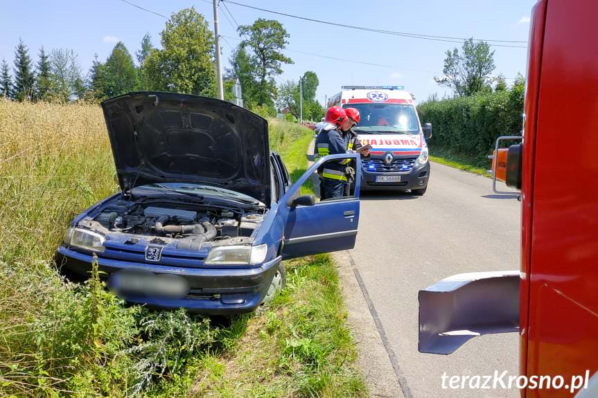 Peugeotem zjechała z jezdni Peugeotem zjechała z jezdni