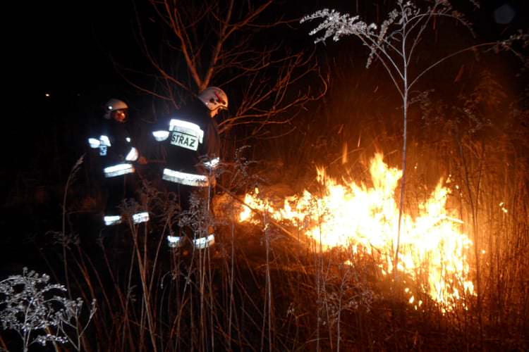 Plaga wypalania traw w gminie Chorkówka