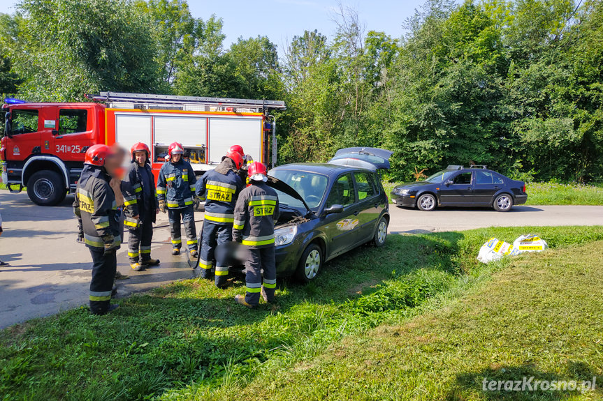 Pożar samochodu w Świerzowej Polskiej