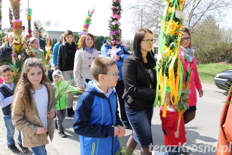 Procesja z palmami w Zręcinie - zdjęcia Procesja z palmami w Zręcinie - zdjęcia