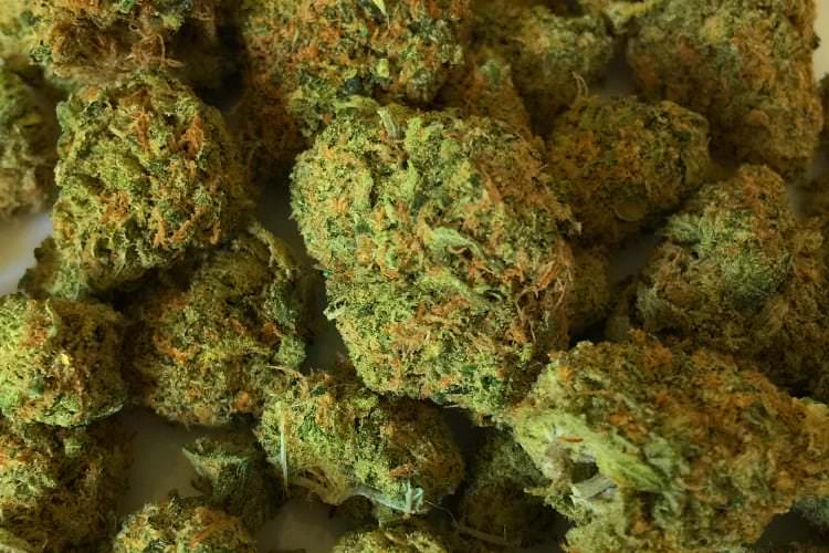 Świerzowa Polska. Marihuana i amfetamina w domu 28-latka Świerzowa Polska. Marihuana i amfetamina w domu 28-latka