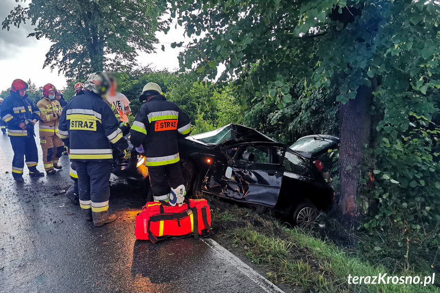 Uderzył audi w drzewo Uderzył audi w drzewo