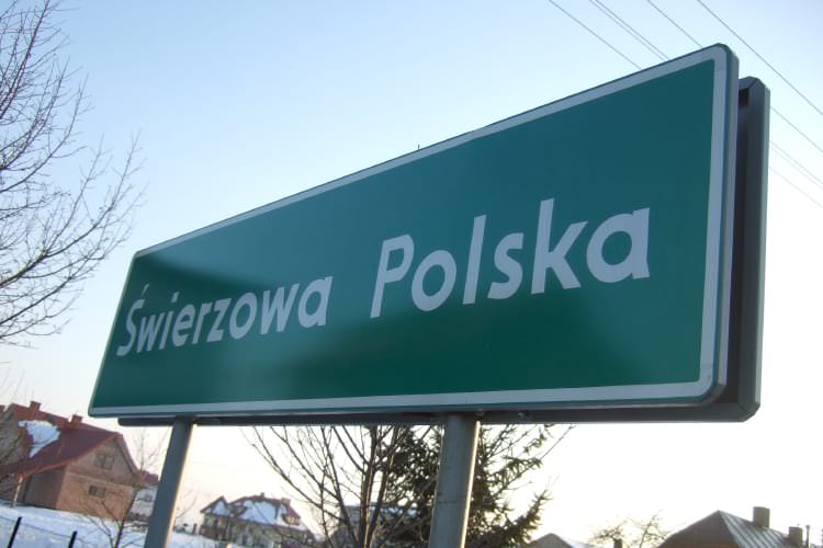 Znów kolizja na Szkolnej Znów kolizja na Szkolnej