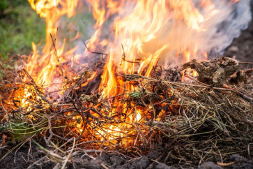 78-latka rozpaliła ognisko i wznieciła pożar
