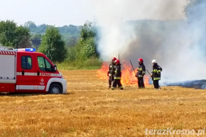 Pożar ścierniska w Świerzowej Polskiej Pożar ścierniska w Świerzowej Polskiej