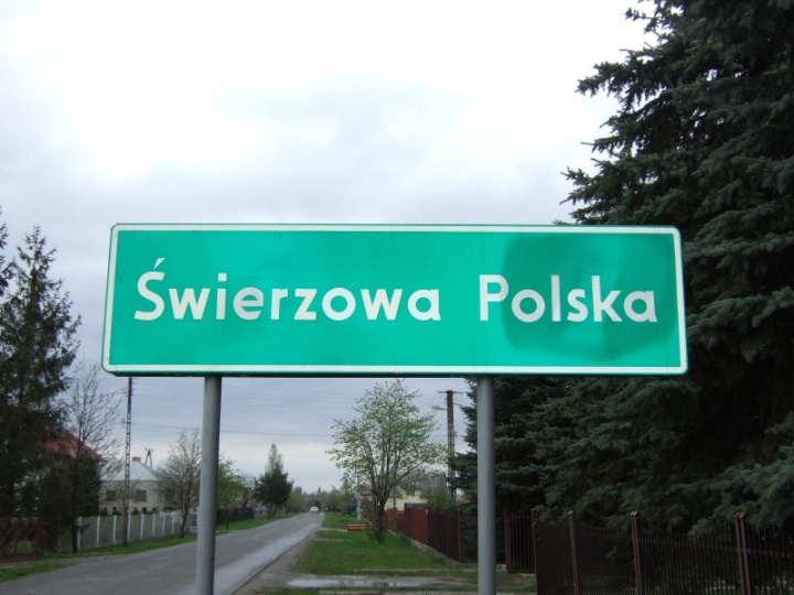 Gmina Chorkówka w statystykach, Świerzowa Polska najliczniejsza Gmina Chorkówka w statystykach, Świerzowa Polska najliczniejsza