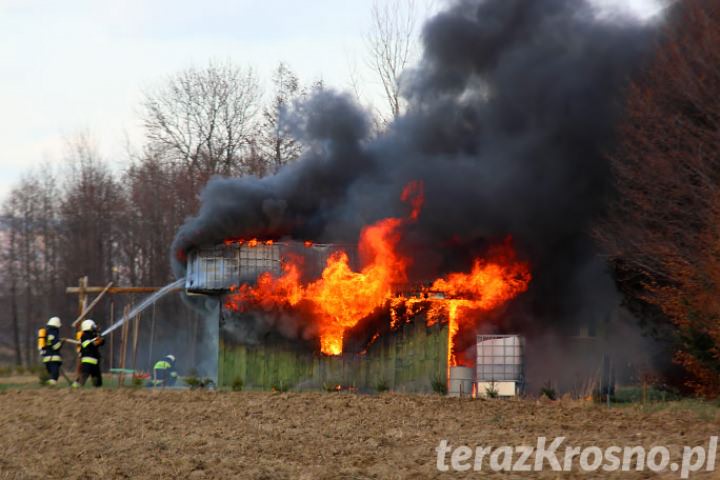 Spłonął domek letniskowy w Szczepancowej Spłonął domek letniskowy w Szczepancowej