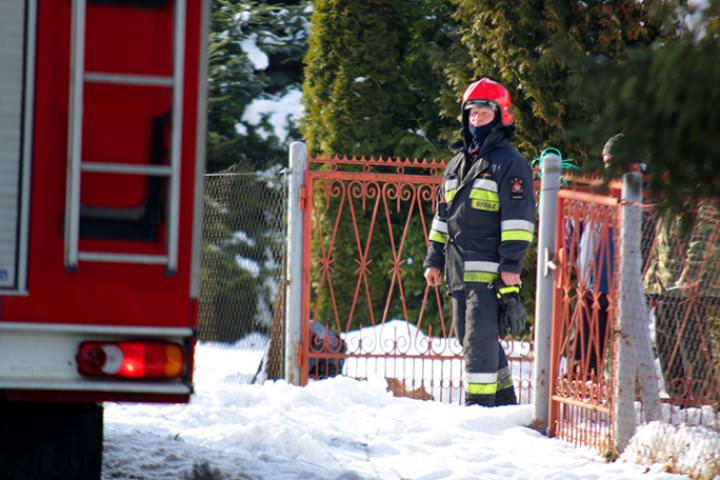 Sarna utknęła w ogrodzeniu Sarna utknęła w ogrodzeniu